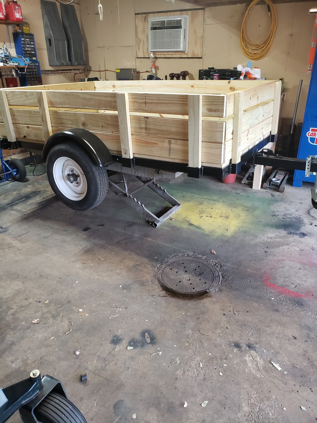 Job 12